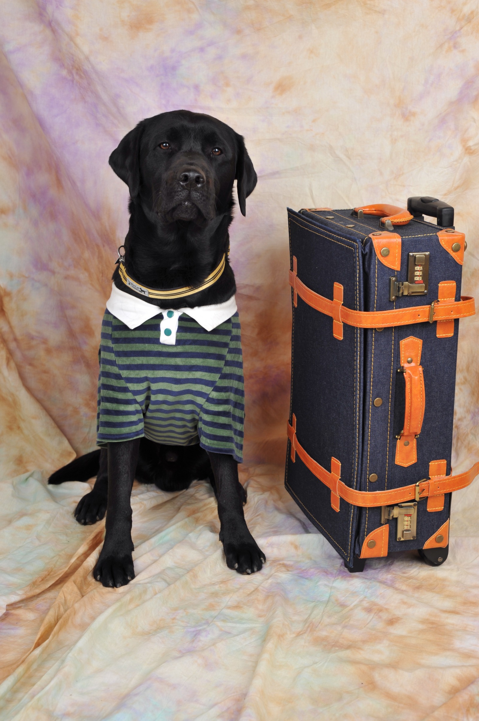 ☆撮影会＆１０周年☆